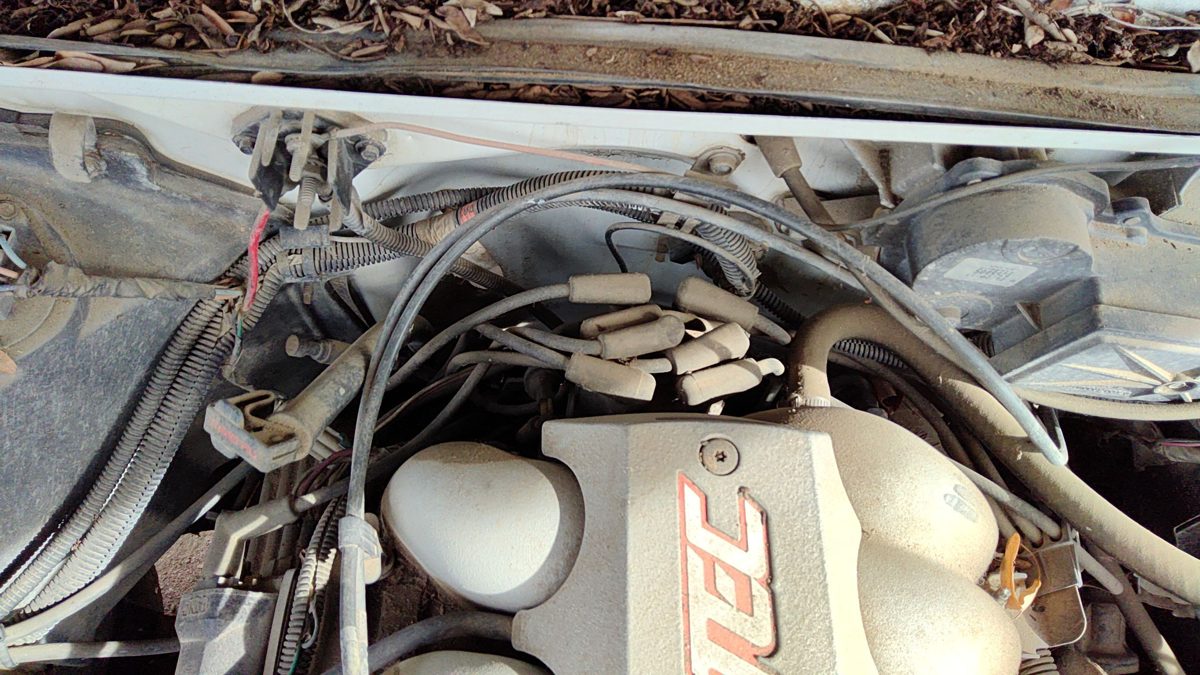 1988-1995 Chevy S10 Blazer Ignition Distributor Oem 4.3L 10472052