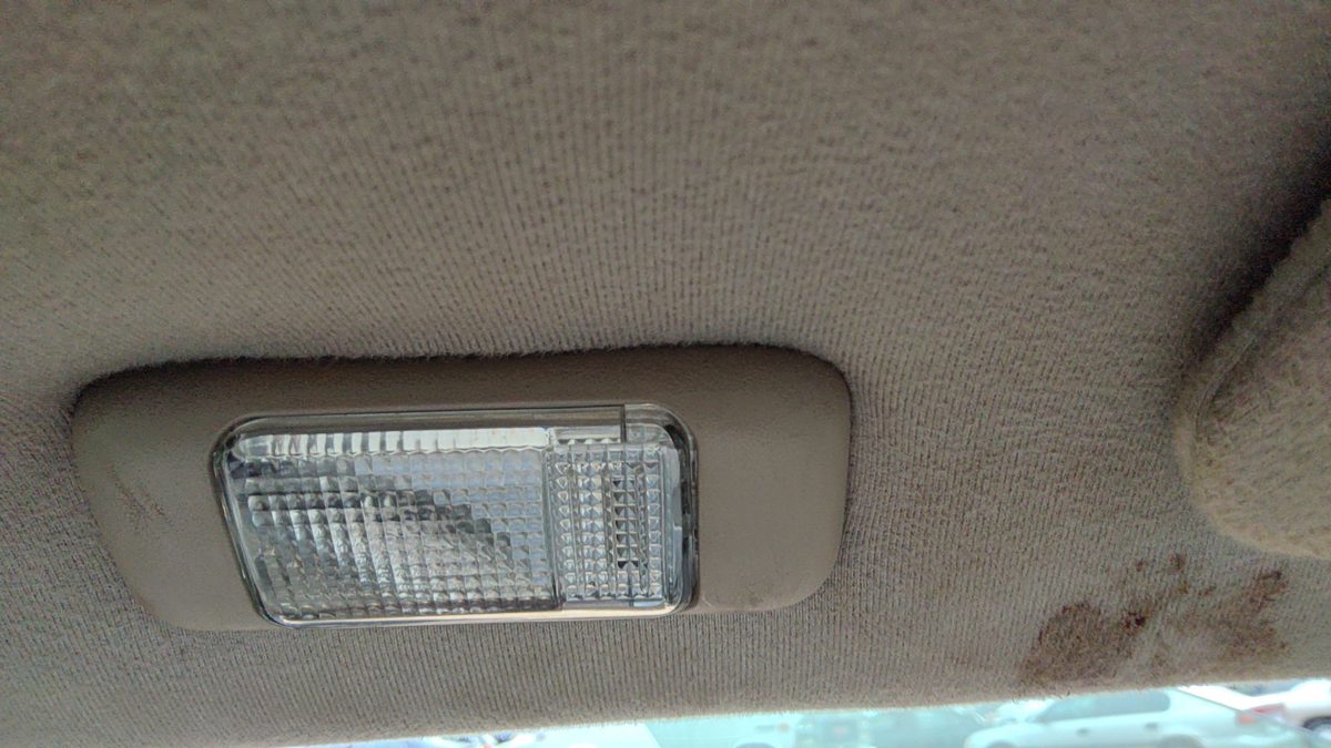 2001 Cadillac Eldorado Driver Left Side Dome Light Oem Shale 155