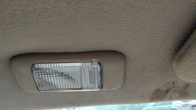 2001 Cadillac Eldorado Driver Left Side Dome Light Oem Shale 155