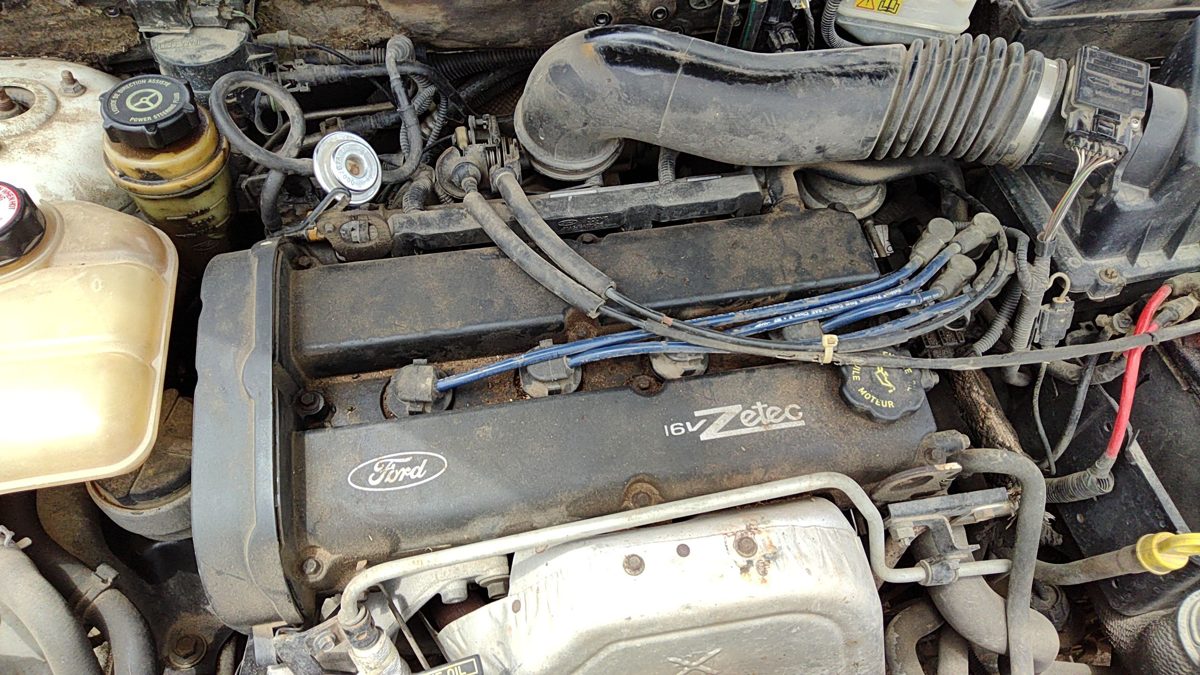 2000-2004 Focus Station Wagon Valve Cover Oem 2.0L Dohc Xs7z6582ba