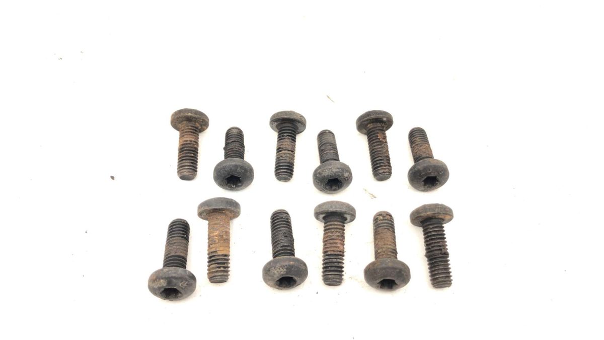 1986 Chevy Corvette C4 Lower Intake Manifold Bolts 12 Oem Factory Hardware