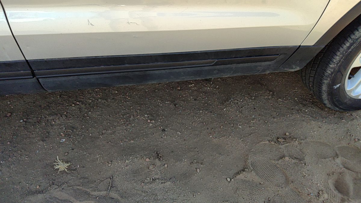 2016-2017 Ford Explorer Passenger Right Front Moulding From Door Oem Trim Strip