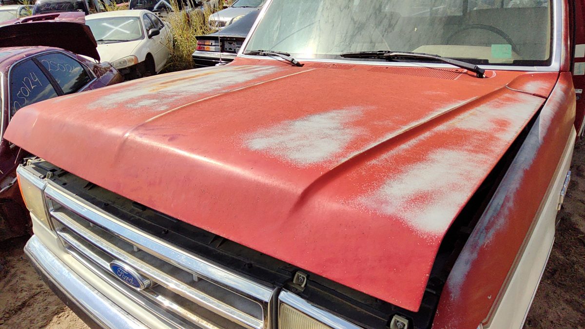 1988 Ford Pickup F150 Hood