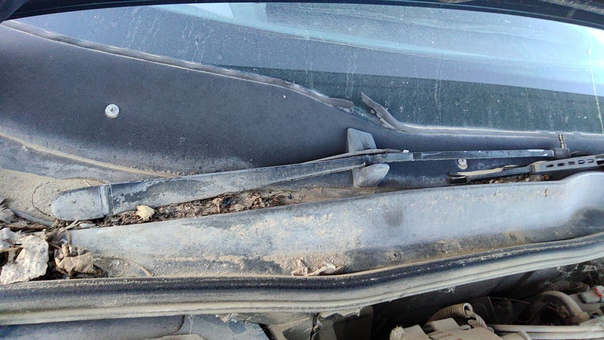 1989 Olds Cutlass Cierra Passenger Right Windshield Wiper Arm Oem Blade Lever