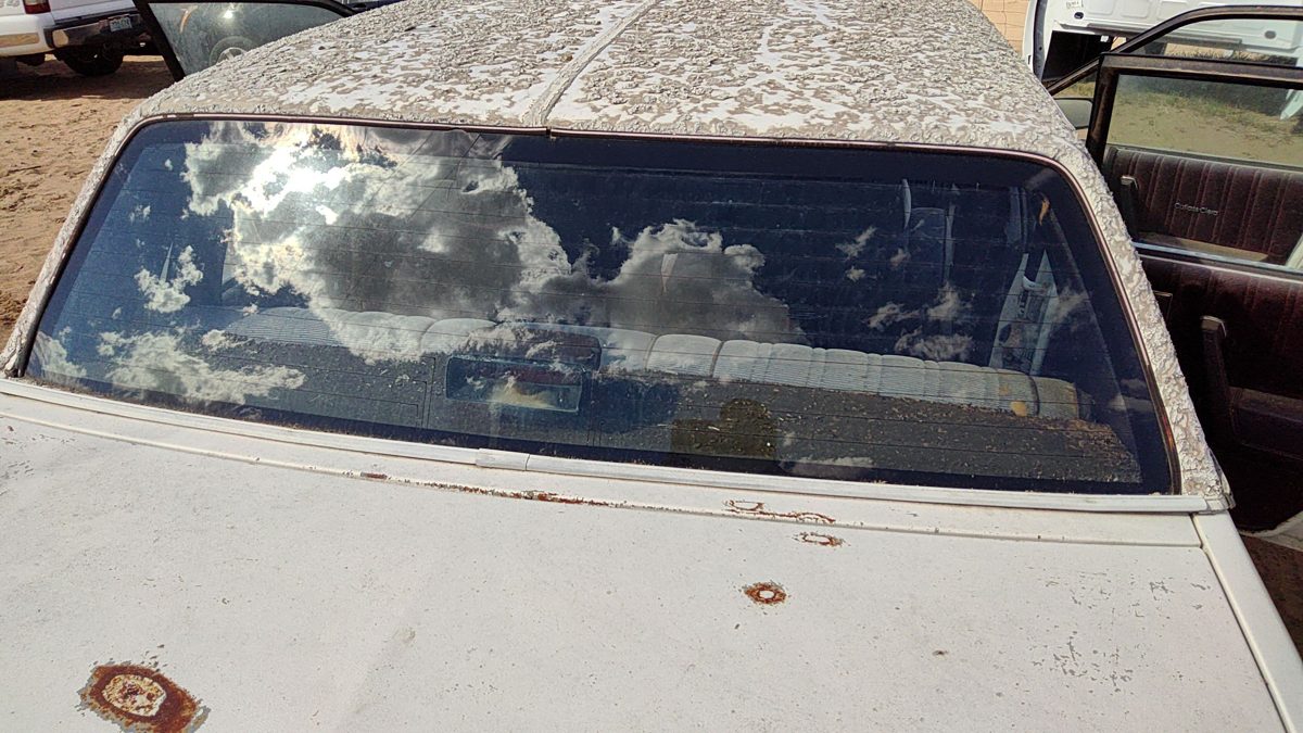 1982-1988 Olds Ciera Back Glass Rear Window Oem 10066827