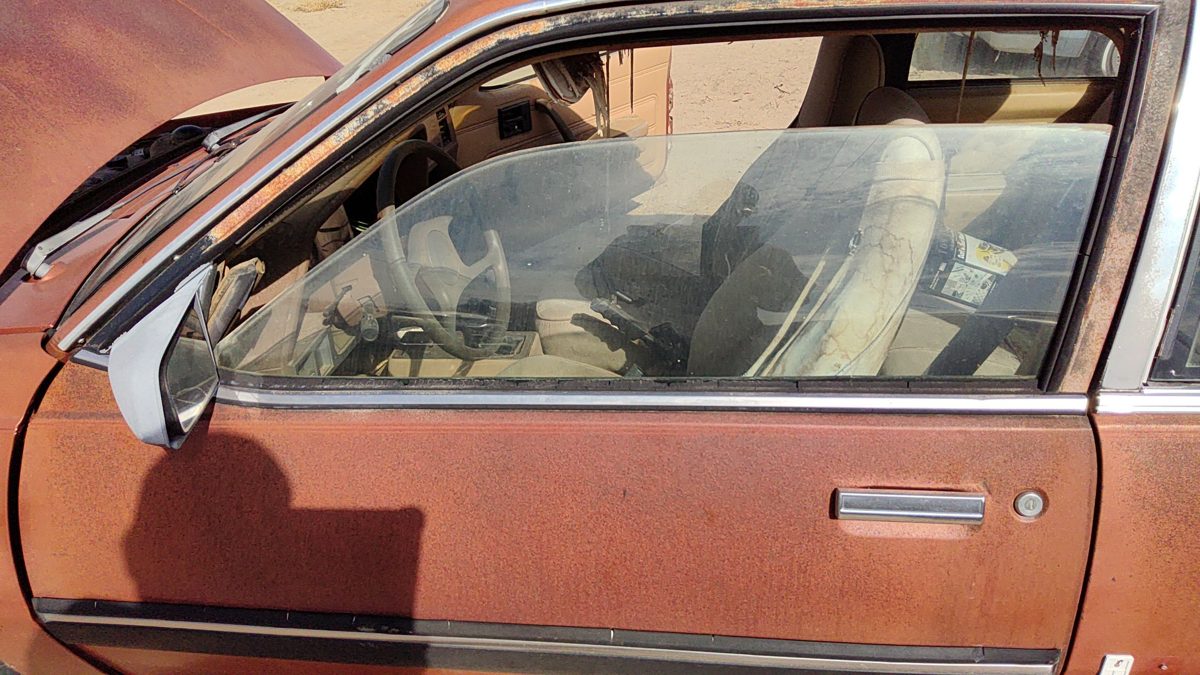 1985-1989 Pontiac Sunbird Driver Left Side Window Door Glass Oem 20157332