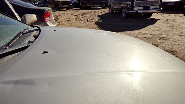 1998 Toyota Camry Hood Gold Hail — photo 4