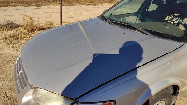 1998 Toyota Camry Hood Gold Hail — photo 2