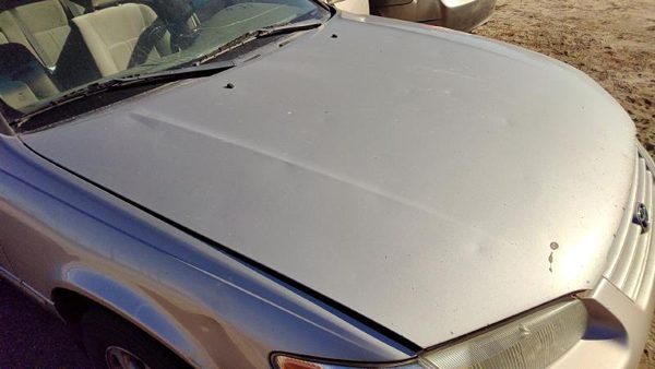 1998 Toyota Camry Hood Gold Hail — photo 1