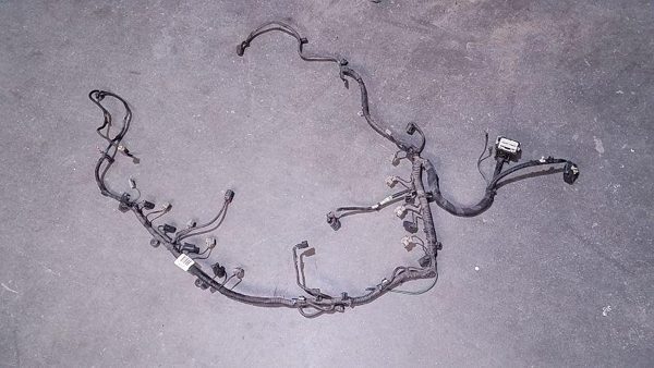 2013 Expedi Wire Harness (engine) Expedition 5.4L Engine Wiring OEM — photo 1