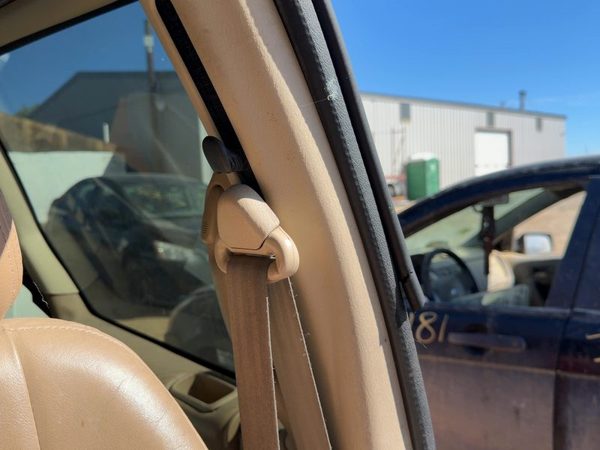 1996 Chrysler Town & Country Driver Left B-Pillar Trim Panel Oem Tan — photo 3