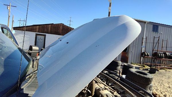 2015 Ford F250 Hood White Z1 Hail — photo 3