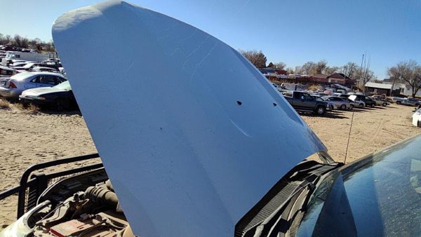 2015 Ford F250 Hood White Z1 Hail — photo 6