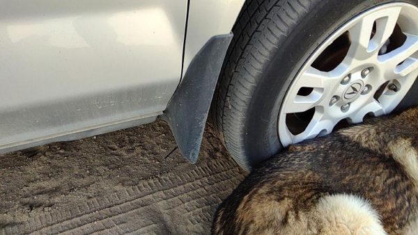 2004-2006 Acura Mdx Passenger Right Moulding From Fender Oem Trim Strip Silver — photo 2