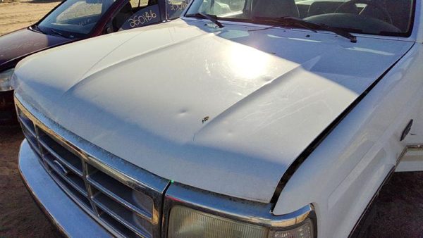 1995 Ford F150 Hood White Hail — photo 2