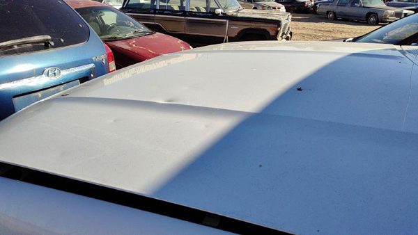 1995 Ford F150 Hood White Hail — photo 5