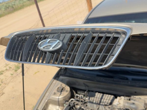 2001-2003 Hyundai Elantra Front Grille Assembly Oem Sedan 863502D070 — photo 2
