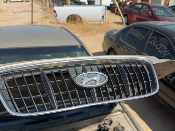 2001-2003 Hyundai Elantra Front Grille Assembly Oem Sedan 863502D070 — photo 5
