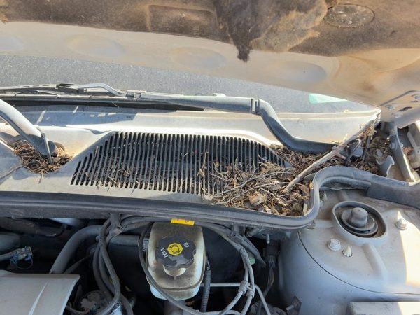 2005 Cadillac Deville Wiper Arm LH — photo 4
