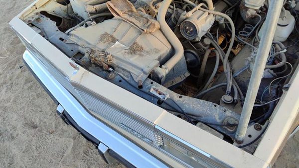 1981 Chevrolet Malibu Radiator Support 14093831 — photo 2