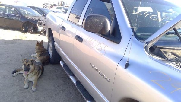 2005 Dodge Ram 1500 — vehicle photo 9