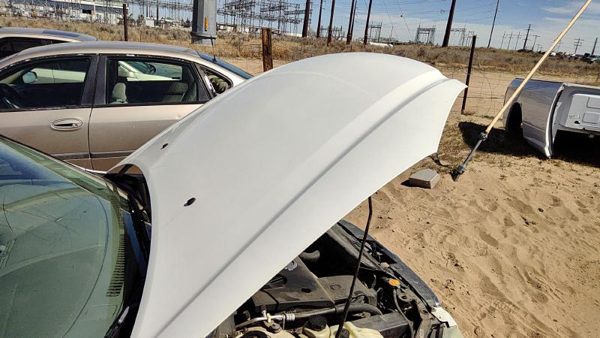 2003 Nissan Altima Hood White QX3 — photo 2