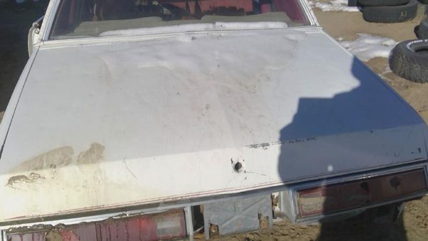 1978 Buick Regal Trunk/decklid/hatch/tailgate White — photo 5