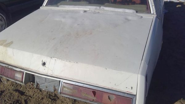 1978 Buick Regal Trunk/decklid/hatch/tailgate White — photo 2