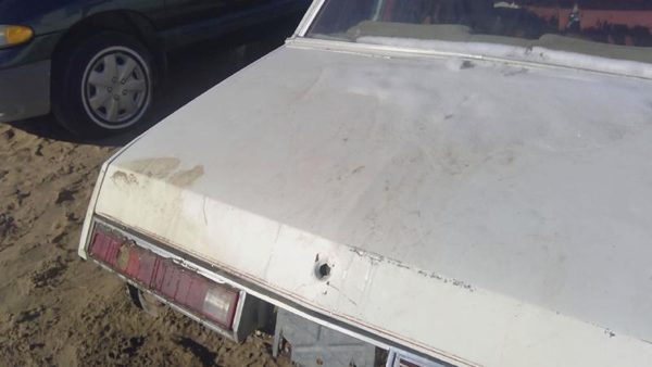 1978 Buick Regal Trunk/decklid/hatch/tailgate White — photo 3