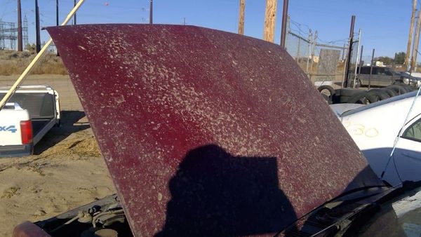 1986 Isuzu Pickup Hood Red Bent Corners — photo 7