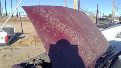 1986 Isuzu Pickup Hood Red Bent Corners