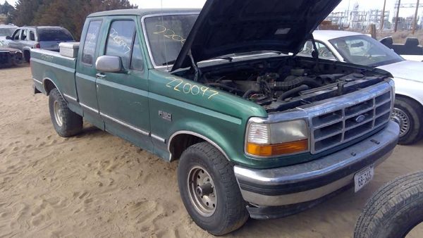 1995 Ford F150 — vehicle photo 1