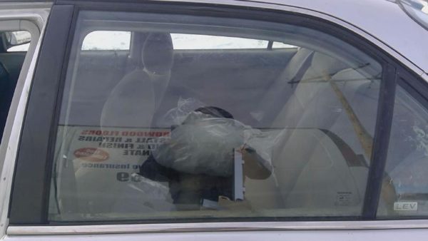 1996-2000 Honda Civic Driver Left Rear Side Window Door Glass Oem Back 4797452 — photo 3