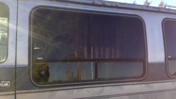 1989 Chevy Van 20 Series Rear Door Glass/window LH G20 Driver Left Side Window — photo 1