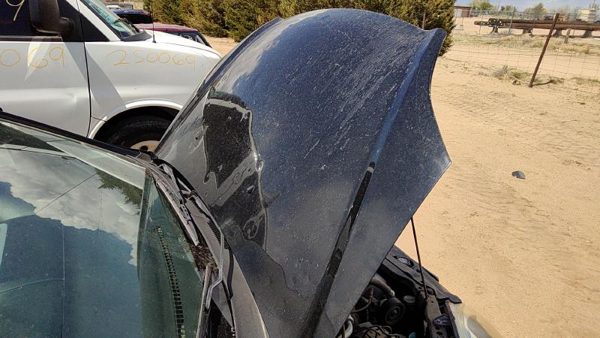 2004 Honda Civic Hood Black Nbp Hail — photo 3