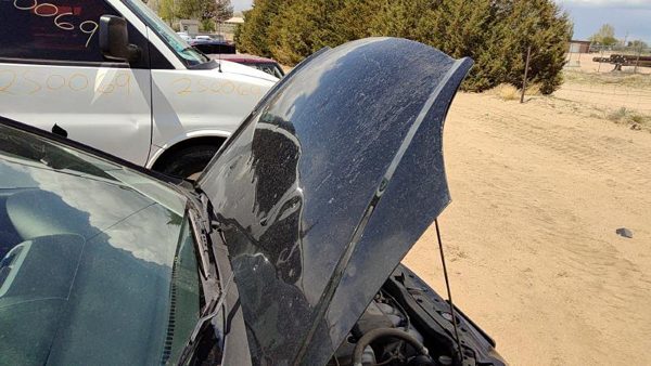 2004 Honda Civic Hood Black Nbp Hail — photo 2