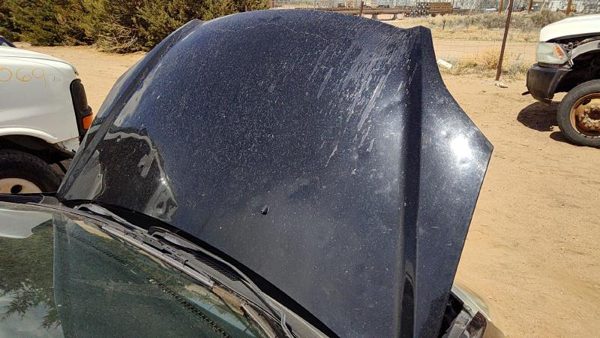 2004 Honda Civic Hood Black Nbp Hail — photo 5