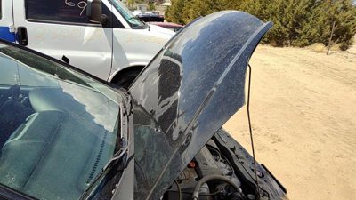 2004 Honda Civic Hood Black Nbp Hail