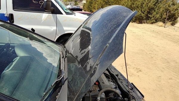 2004 Honda Civic Hood Black Nbp Hail — photo 1