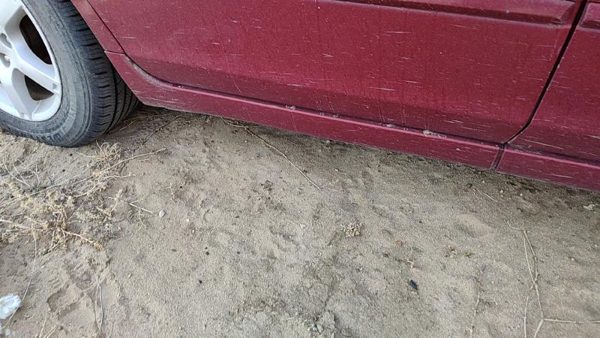 02-06 Nissan Altima Passenger Right Rear Lower Rocker Panel Moulding Side Skirt — photo 1