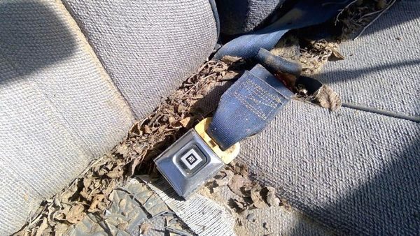 89-93 Chevy Caprice Passenger Right Front Seat Belt Buckle Receiver Oem Blue — photo 5