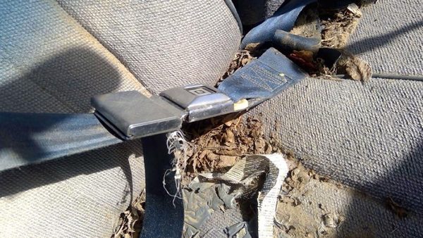 89-93 Chevy Caprice Passenger Right Front Seat Belt Buckle Receiver Oem Blue — photo 6