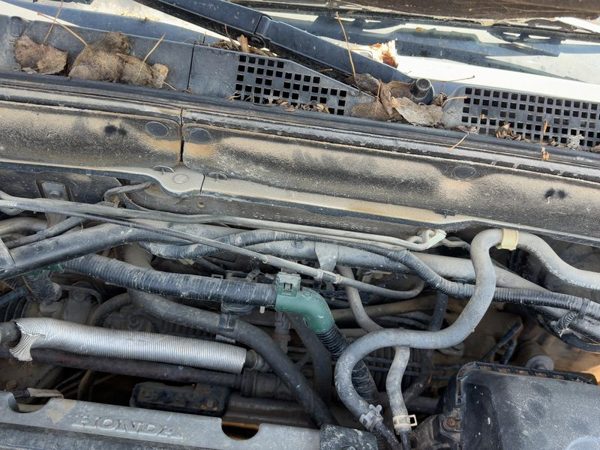 2005 Honda Crv Cruise Control Servo Assembly Module With Cable Oem — photo 2