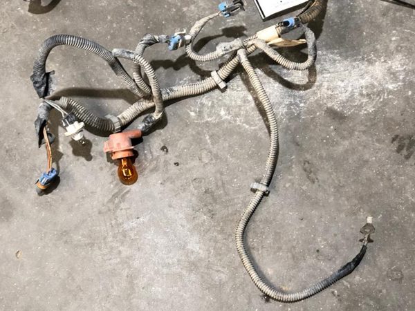 2000 GMC Sierra 2500 Headlight Wiring Harness OEM Front Body Wire Loom — photo 2