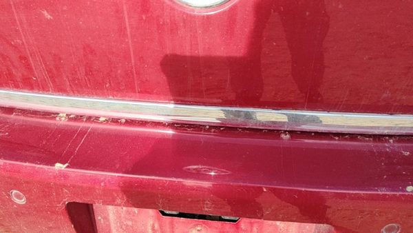 06-11 Buick Lucerne License Plate Trim Surround Panel Oem Tail Trunk Finish — photo 3