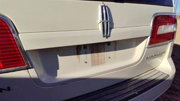 2007-2008 Lincoln Navigator License Plate Trim Surround Panel Tail Trunk Finish — photo 2