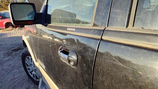 2008 Ford Expedition Front Door LH Ua Black — photo 4