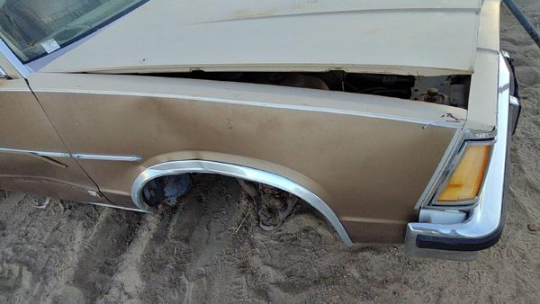 1978-1987 Chevy Malibu Passenger Right Front Fender Oem Tan 4 Door 14016340 — photo 1