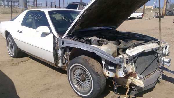 1983 Pontiac Firebird — vehicle photo 1