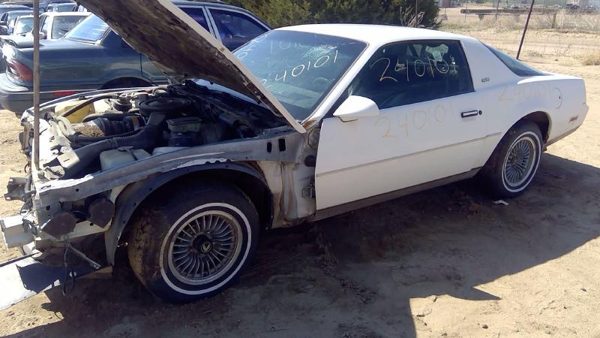 1983 Pontiac Firebird — vehicle photo 4